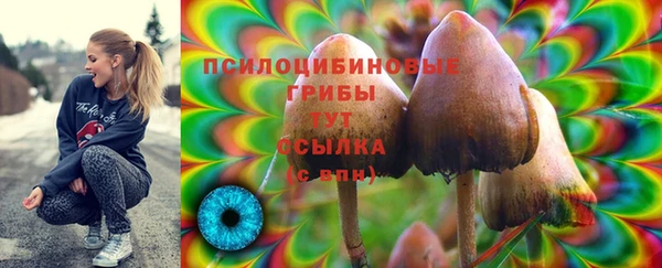 мяу мяу кристалл Алзамай