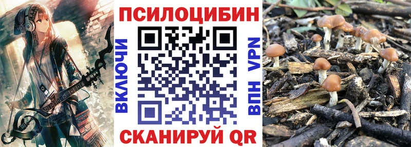Псилоцибиновые грибы мицелий  kraken зеркало  Рыбное 